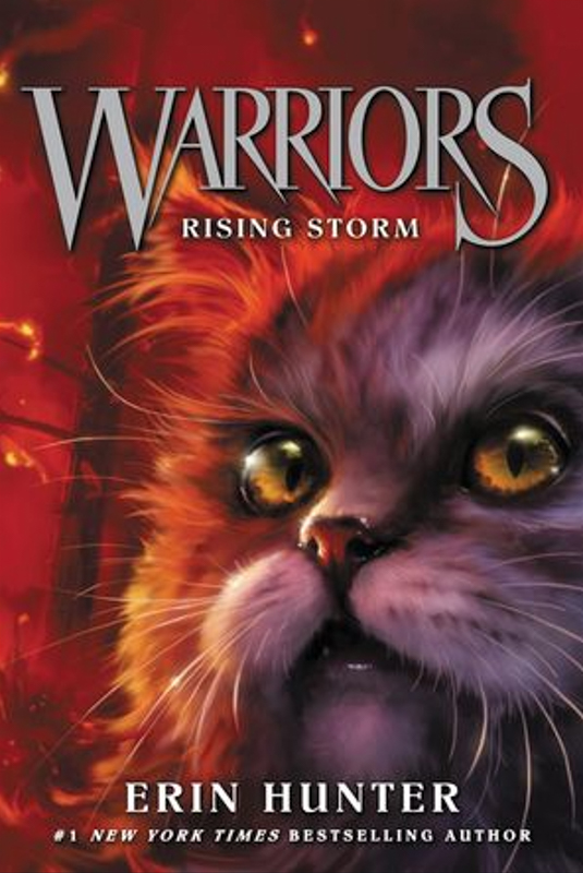 Warriors Rising Storm