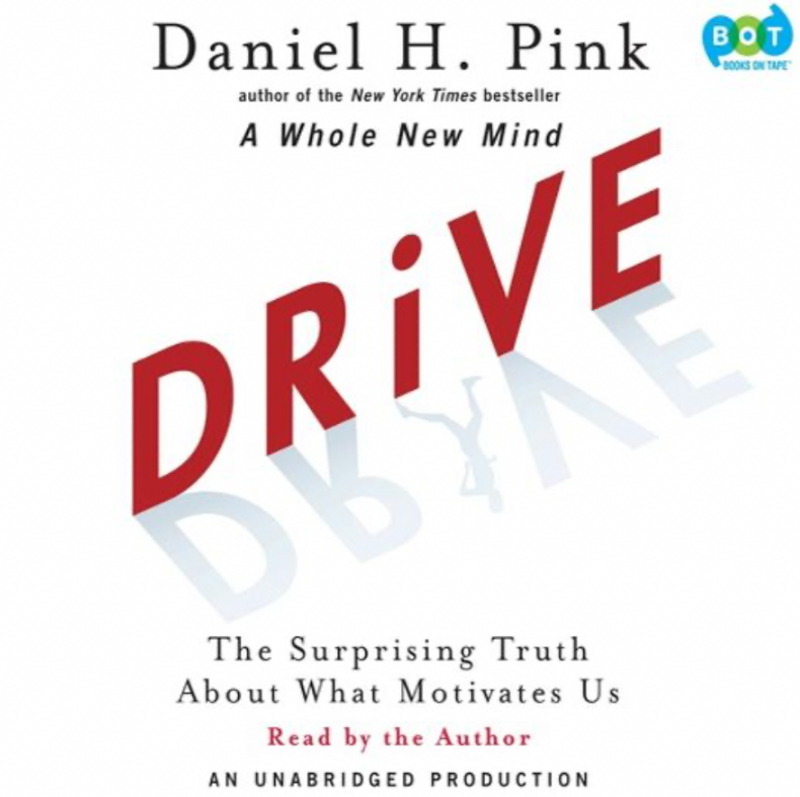 Drive: The Surprising Truth About What Motivates Us