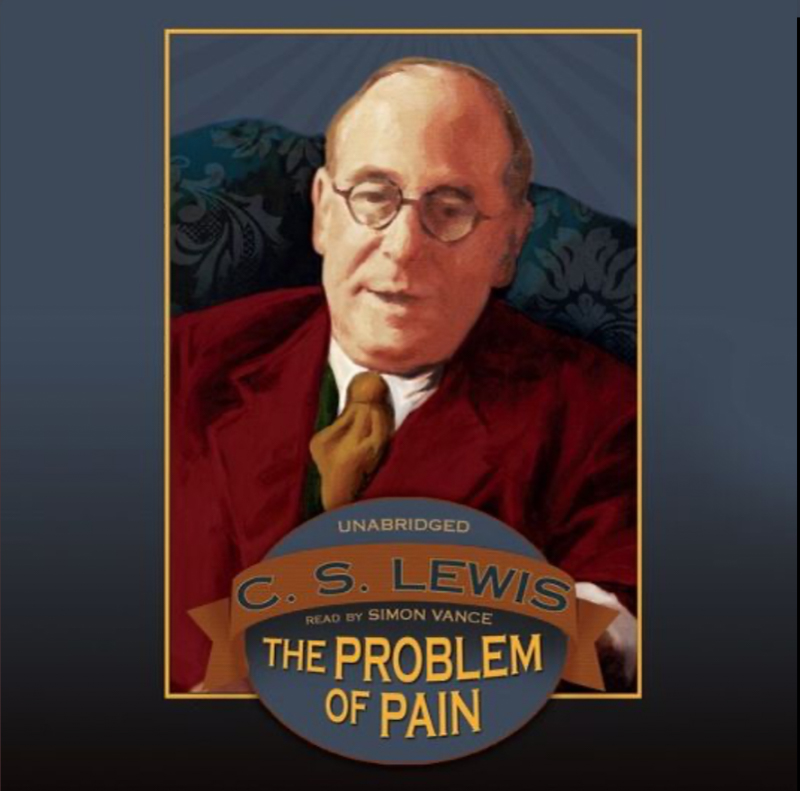 The Problem of Pain